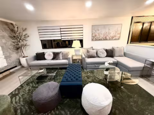 zh_living_2